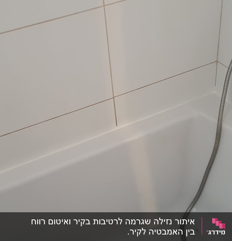 ברז אמבטיה עם צינור מקלחת וכפתור שליטה
